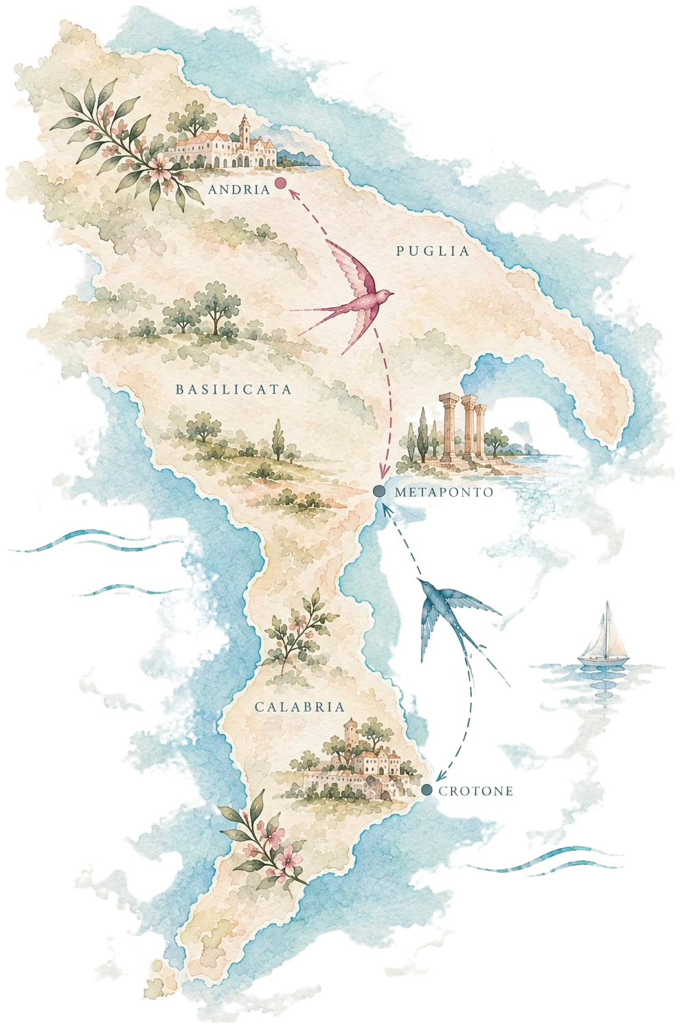 Mappa ad acquerello: una rondine rosa parte da Andria in Puglia, una rondine azzurra da Crotone in Calabria, e si incontrano a Metaponto in Basilicata